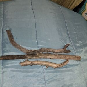 Lake Cured Drift Wood Sticks 1"-1 1/2 Wide Diy Outdoors Crafts Nature Rugged